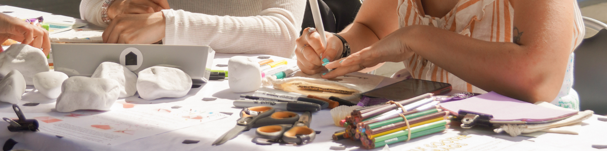 Essex SU Advice Team