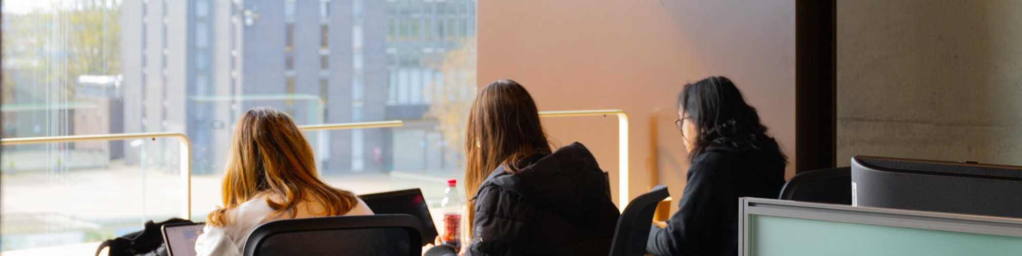 A group of students in the library