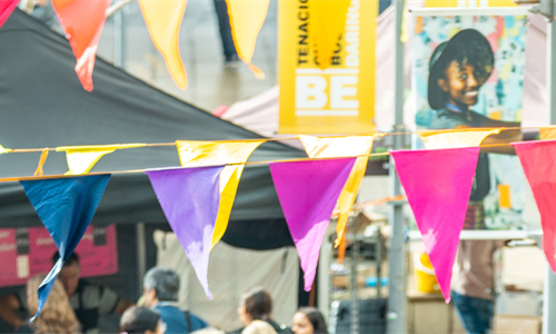 Colourful flags on essex campus